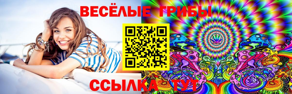 Галлюциногенные грибы Cubensis Гусев