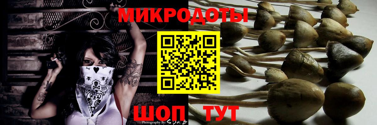 Галлюциногенные грибы мухоморы  Псилоцибиновые грибы ЛСД  Вход с VPN  закладка  Гусев 